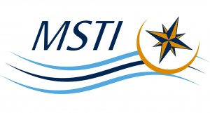 MSTI logo 4c.jpg